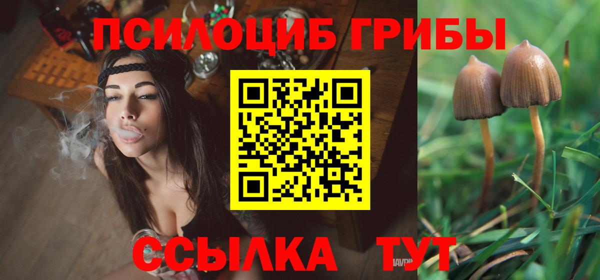 Холмск  Псилоцибиновые грибы MAGIC MUSHROOMS  Вход с VPN 